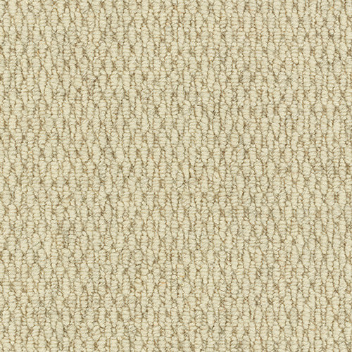 Smart Berber Naturals - Pointing