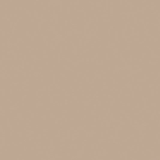 Farrow & Ball - Smoked Trout No. 60