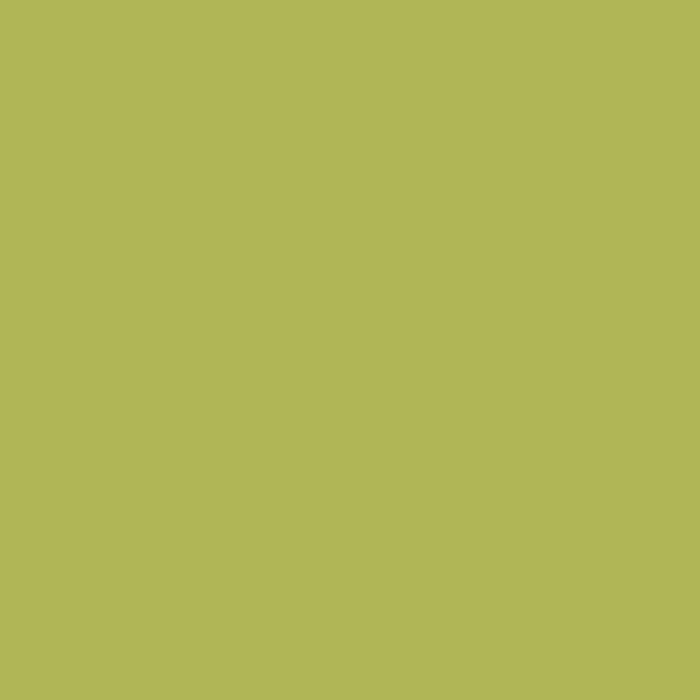 Cuprinol Garden Shades Colour & Protect - Sunny Lime