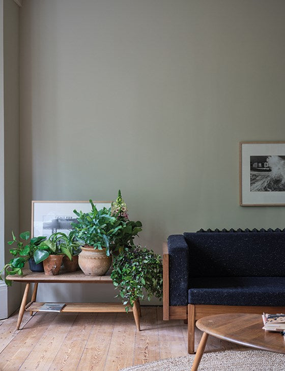 Farrow & Ball - Ash Grey No. W9
