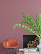 Farrow & Ball - Crimson Red No. W93