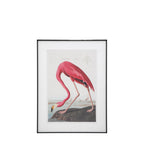 Wading Flamingo Framed Art