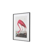 Wading Flamingo Framed Art
