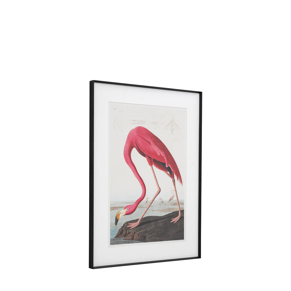 Wading Flamingo Framed Art