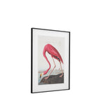 Wading Flamingo Framed Art