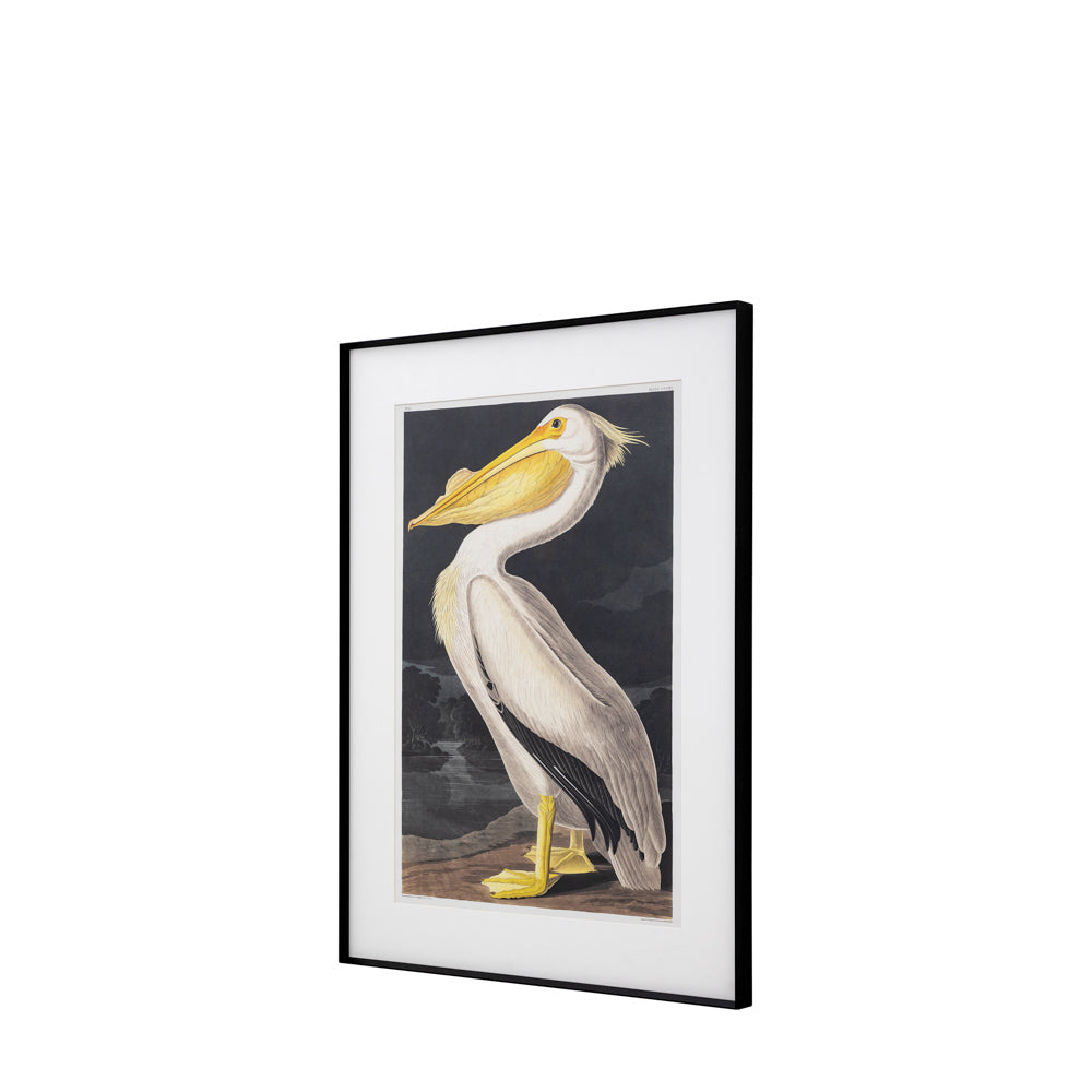 Pellicano Framed Art