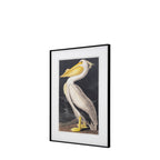 Pellicano Framed Art