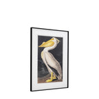 Pellicano Framed Art