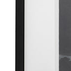 Pellicano Framed Art