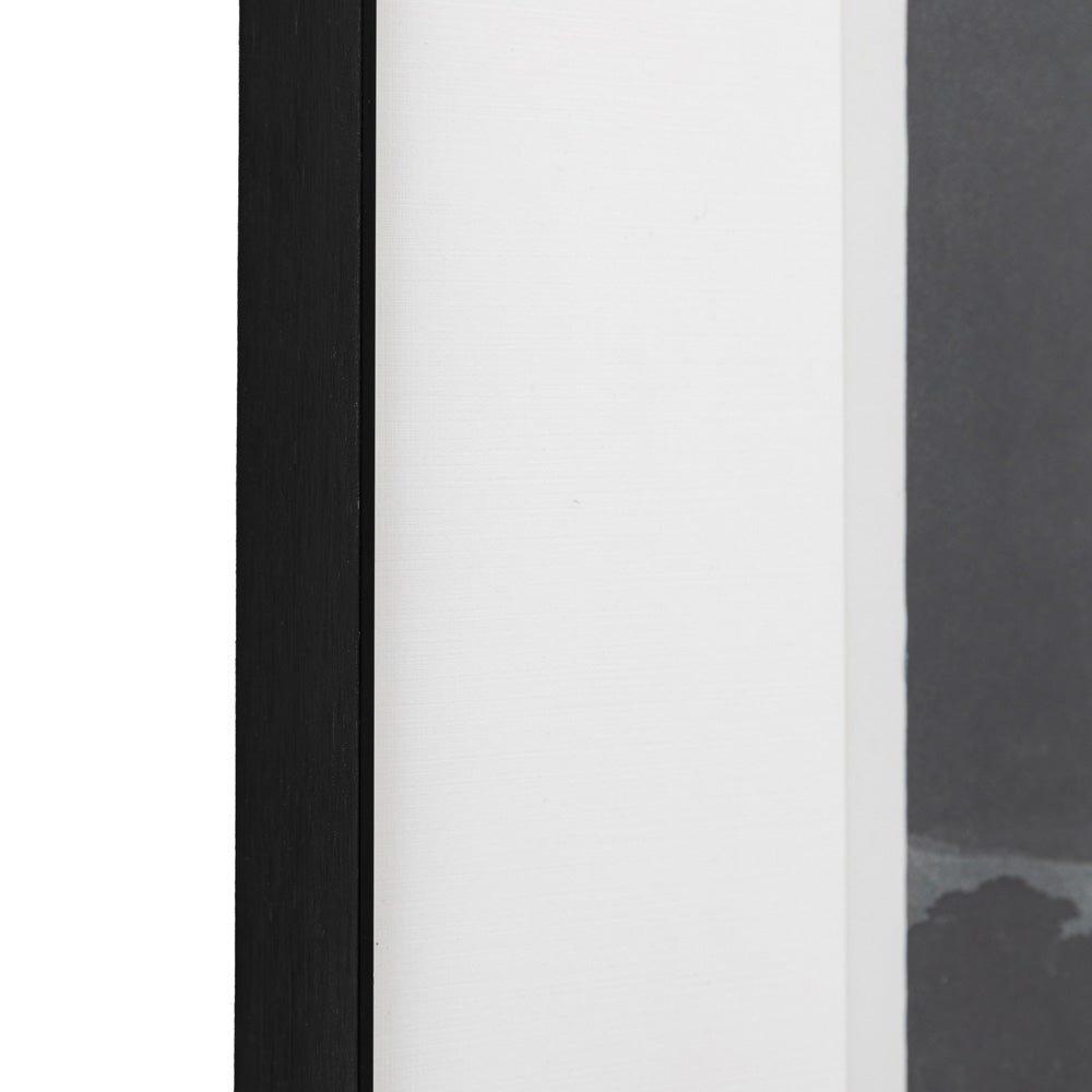 Pellicano Framed Art