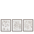 Evergreen Framed Art Set of 3