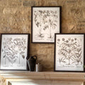 Evergreen Framed Art Set of 3