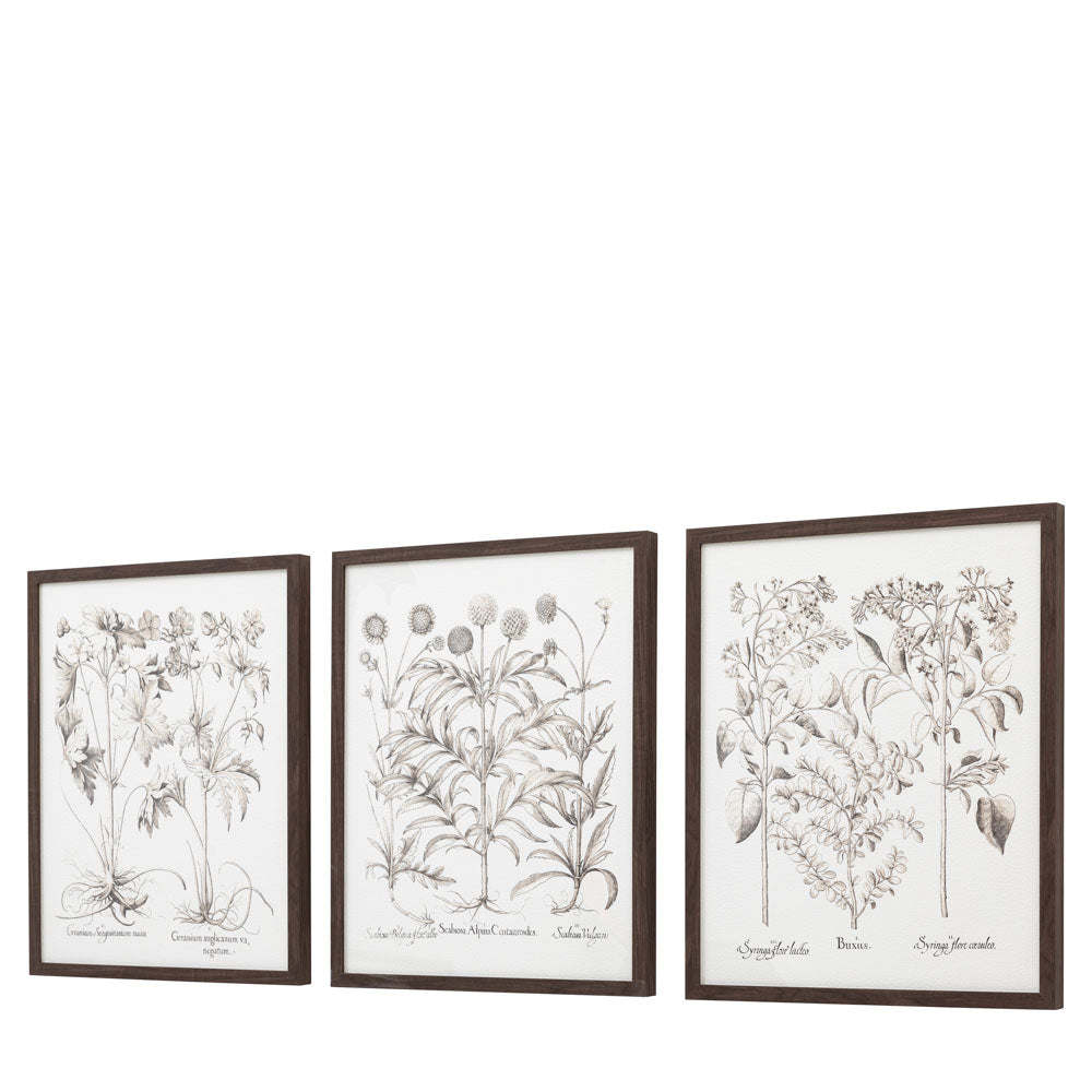 Evergreen Framed Art Set of 3