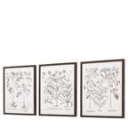 Evergreen Framed Art Set of 3