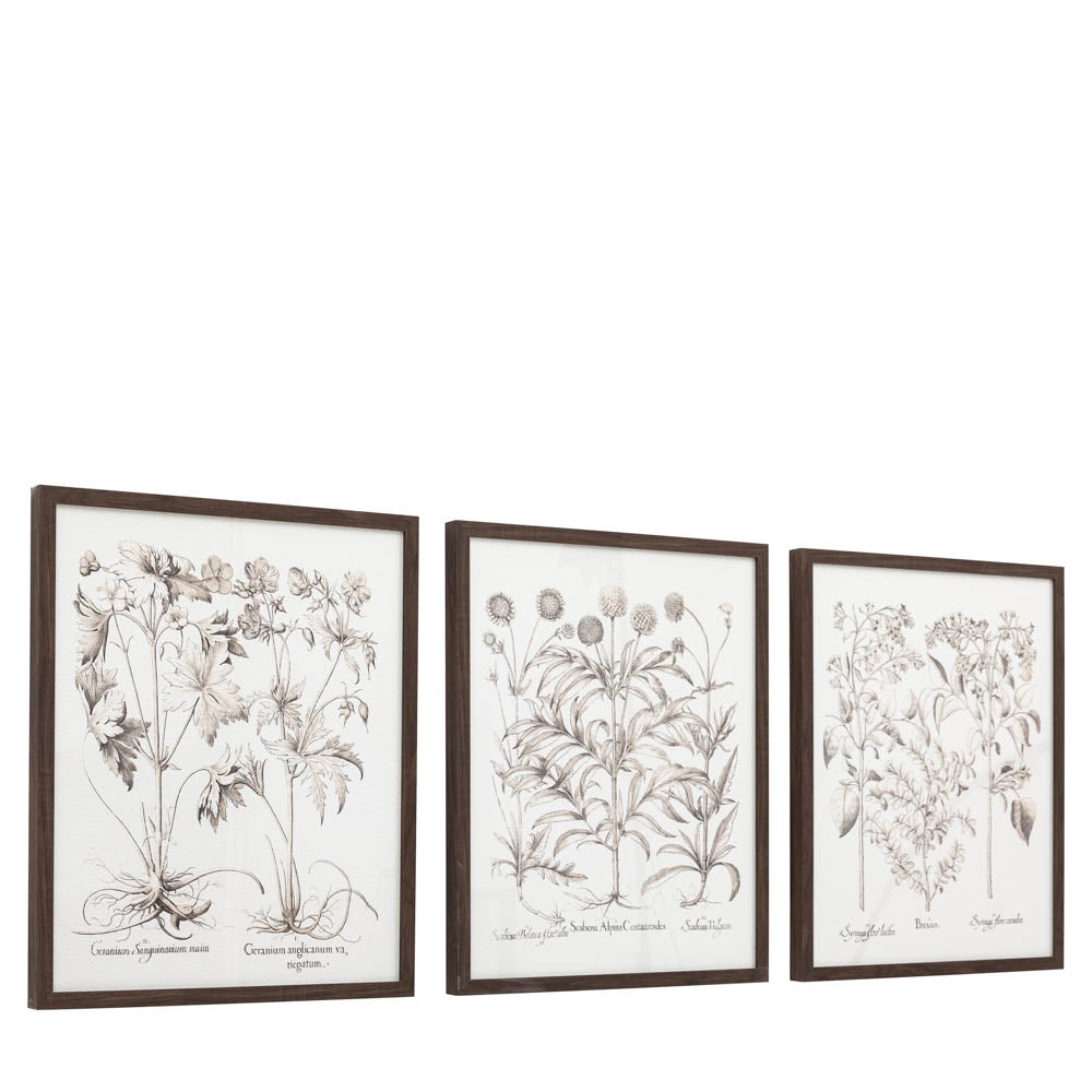 Evergreen Framed Art Set of 3