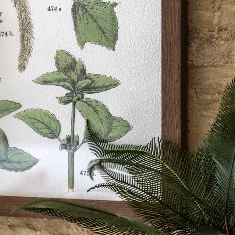 Foliage Study Framed Art Set of 2