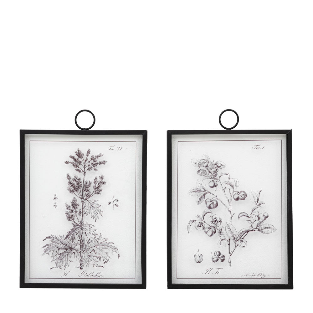 Petiole Art Set of 2