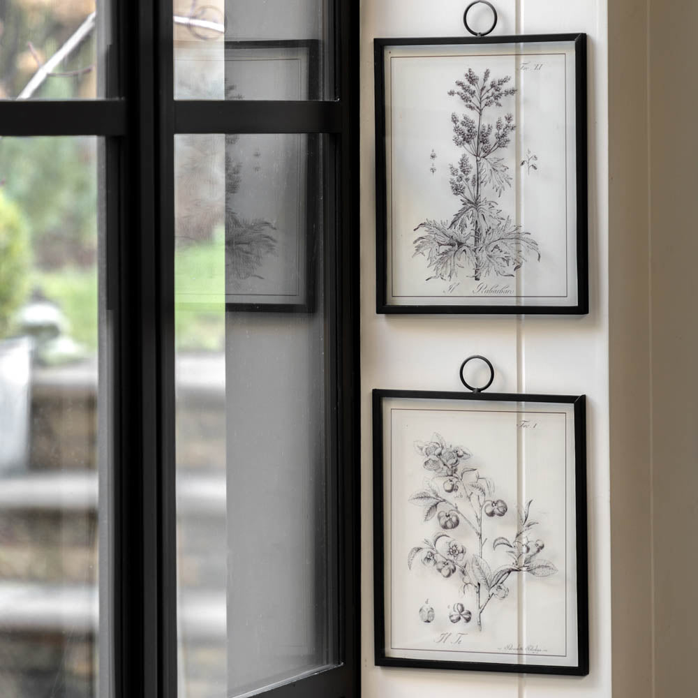 Petiole Art Set of 2