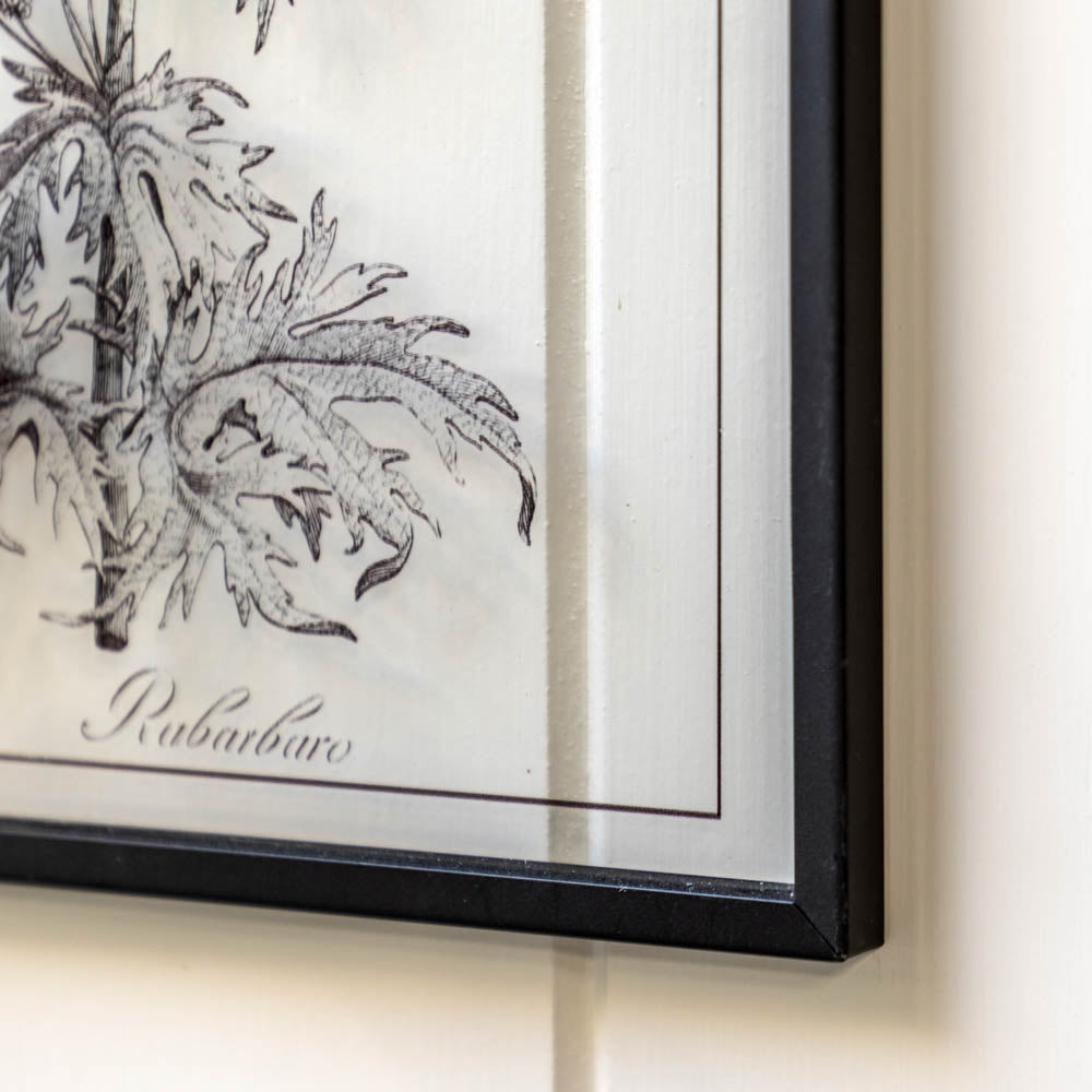 Petiole Art Set of 2