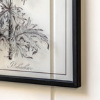 Petiole Art Set of 2