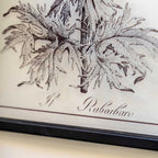 Petiole Art Set of 2