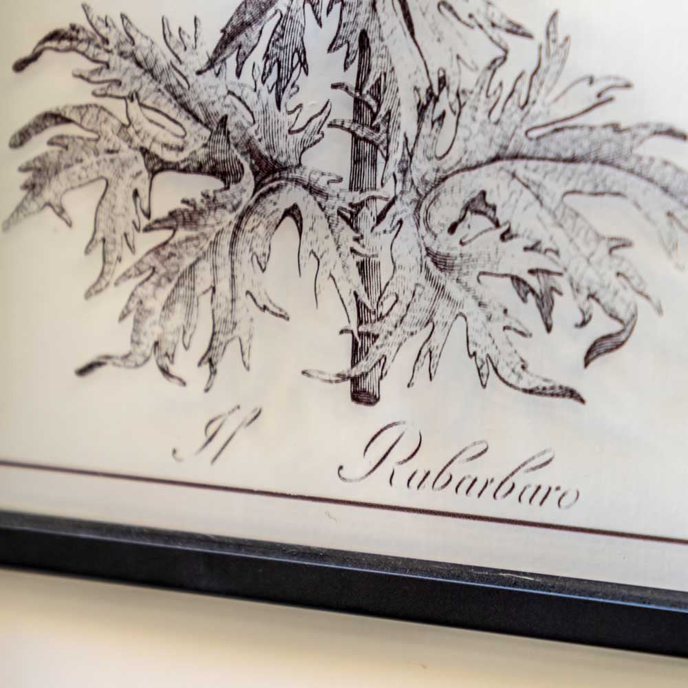 Petiole Art Set of 2