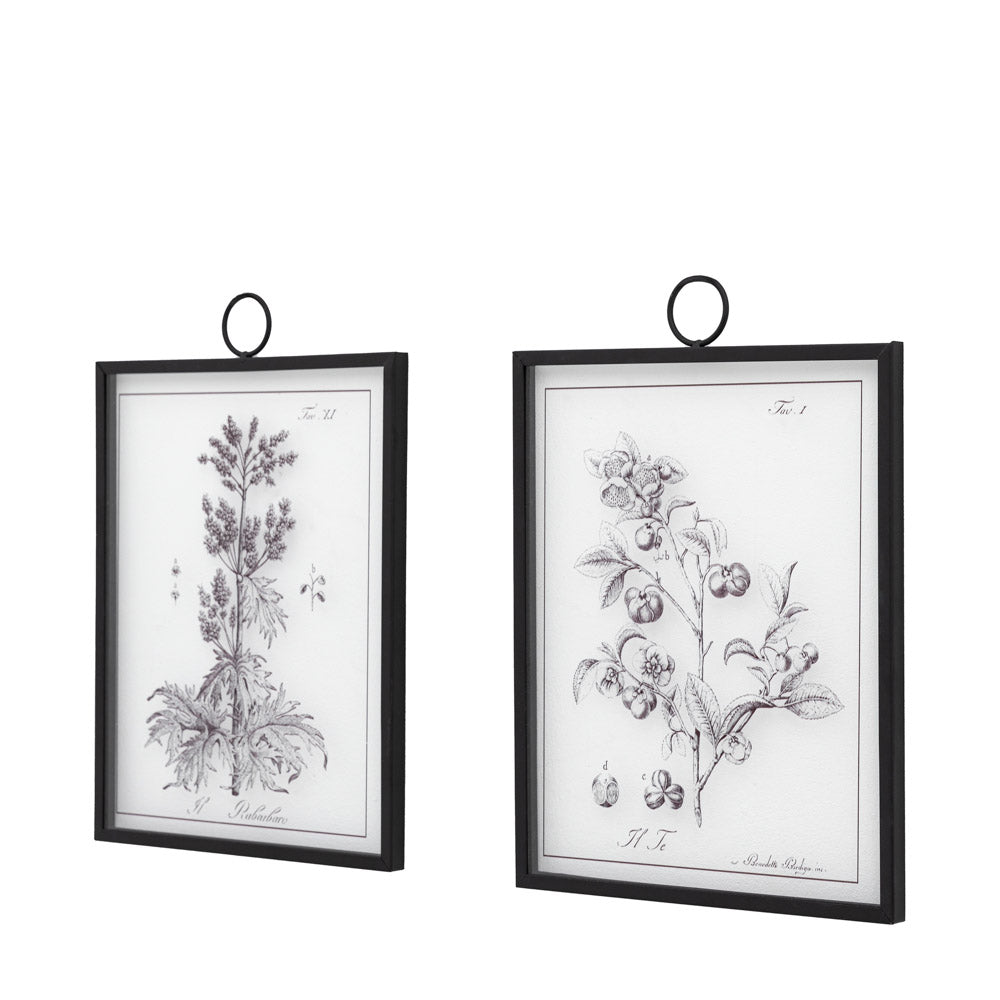 Petiole Art Set of 2