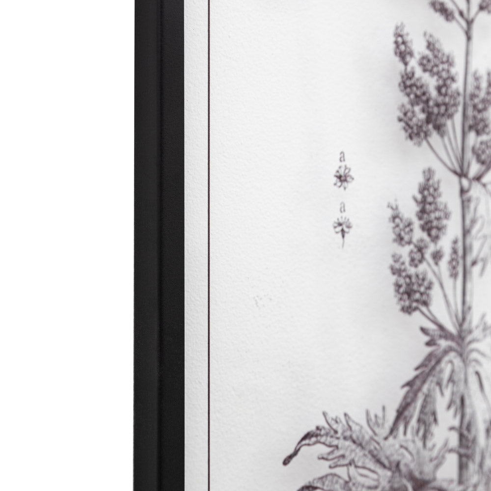 Petiole Art Set of 2