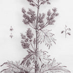 Petiole Art Set of 2