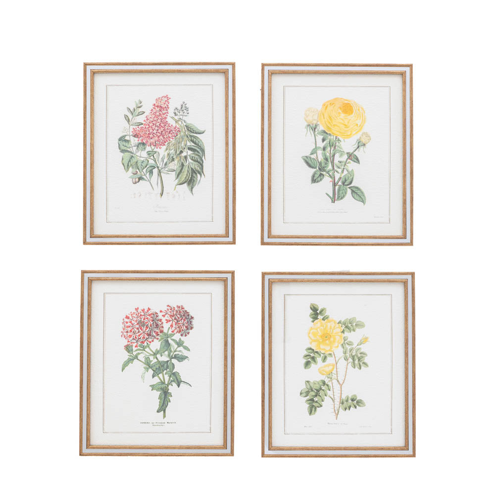 Floral Quartet Framed Art Set of 4
