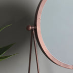 Belfort Mirror Bronze