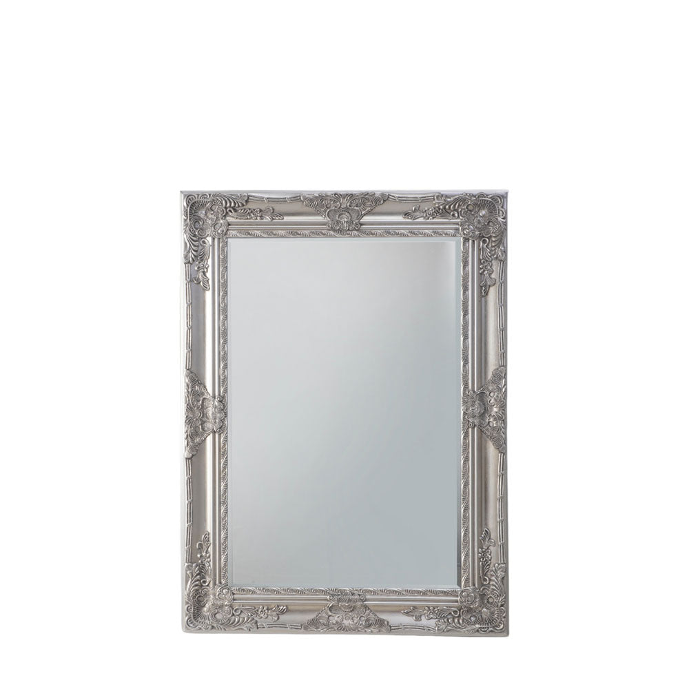 Stamford Rectangle Mirror Ant Silver