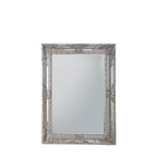Stamford Rectangle Mirror Ant Silver