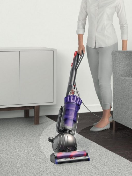 dyson small ball animal 2 amazon