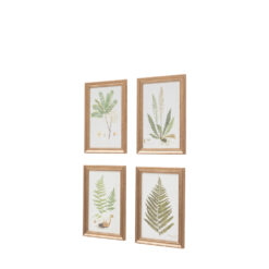 Alternative view of Assorted Ferns Framed Art Set of 4